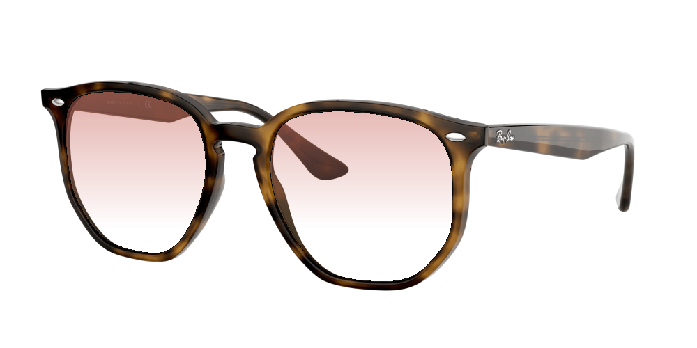 Ray Ban RB4306 710/73 Ray Ban RB4306 710/73