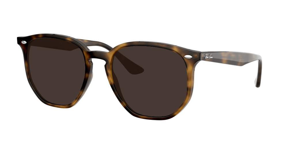 Ray Ban RB4306 710/73 Ray Ban RB4306 710/73
