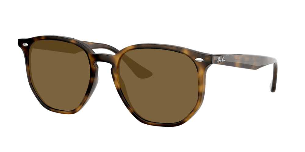 Ray Ban RB4306 710/73 Ray Ban RB4306 710/73