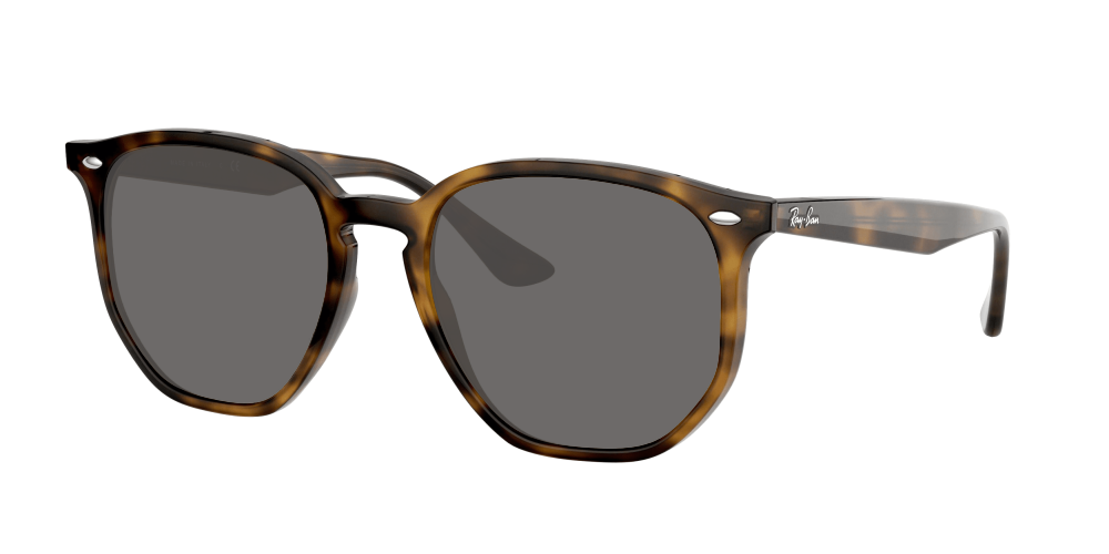 Ray Ban RB4306 710/73 Ray Ban RB4306 710/73