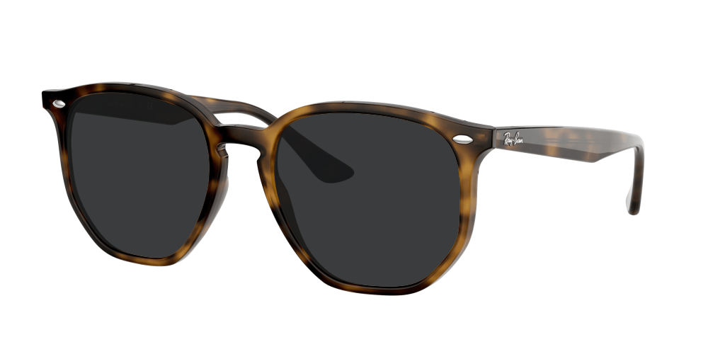 Ray Ban RB4306 710/73 Ray Ban RB4306 710/73