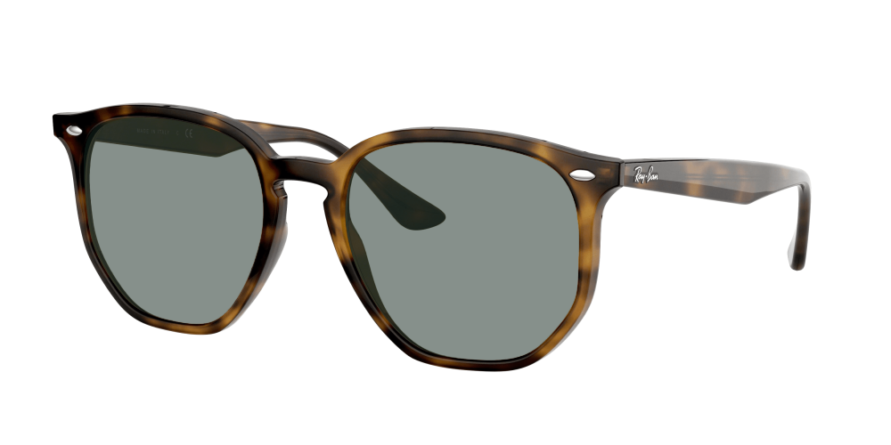 Ray Ban RB4306 710/73 Ray Ban RB4306 710/73