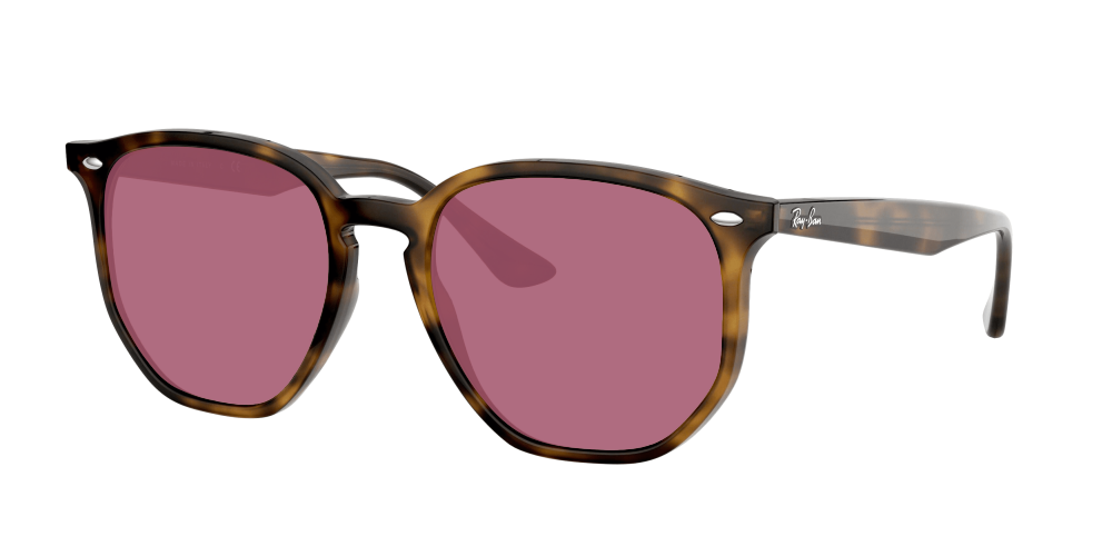 Ray Ban RB4306 710/73 Ray Ban RB4306 710/73