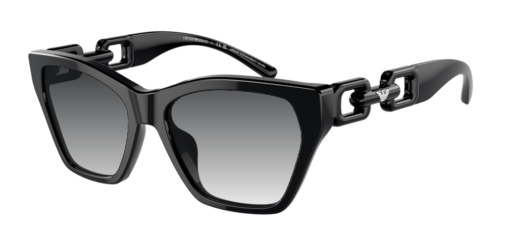 Emporio Armani EA4203U 50178G Emporio Armani EA4203U 50178G