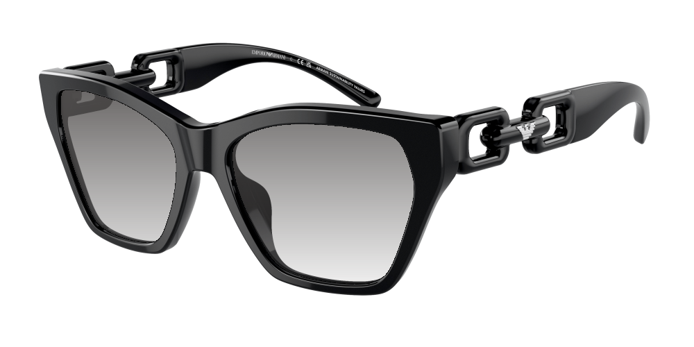 Emporio Armani EA4203U 50178G Emporio Armani EA4203U 50178G