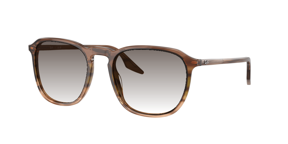 Ray Ban RB2203 13920A Ray Ban RB2203 13920A