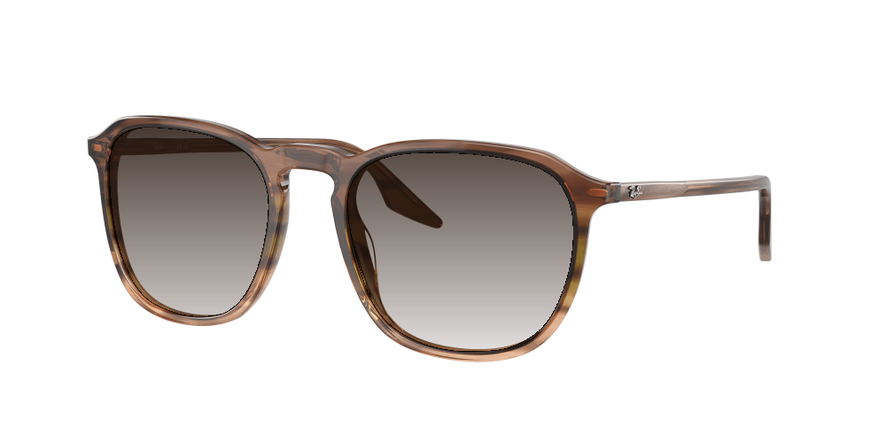 Ray Ban RB2203 13920A Ray Ban RB2203 13920A