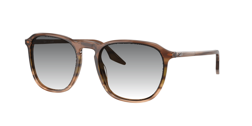 Ray Ban RB2203 13920A Ray Ban RB2203 13920A