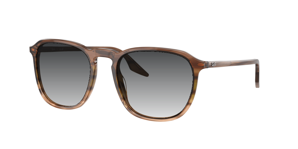 Ray Ban RB2203 13920A Ray Ban RB2203 13920A