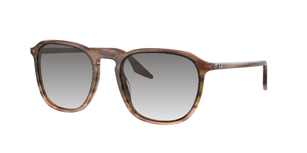 Ray Ban RB2203 13920A Ray Ban RB2203 13920A