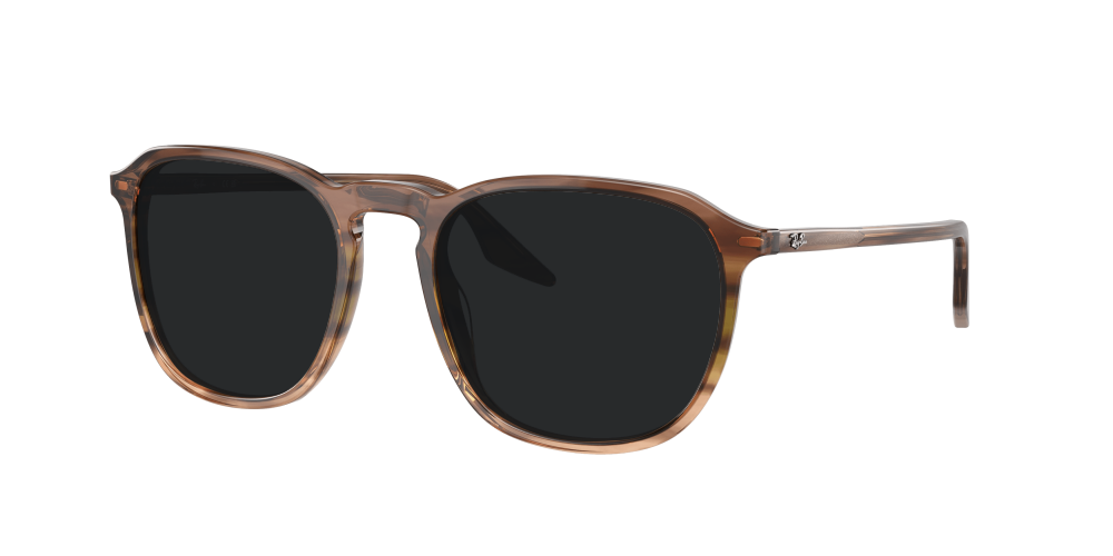 Ray Ban RB2203 13920A Ray Ban RB2203 13920A
