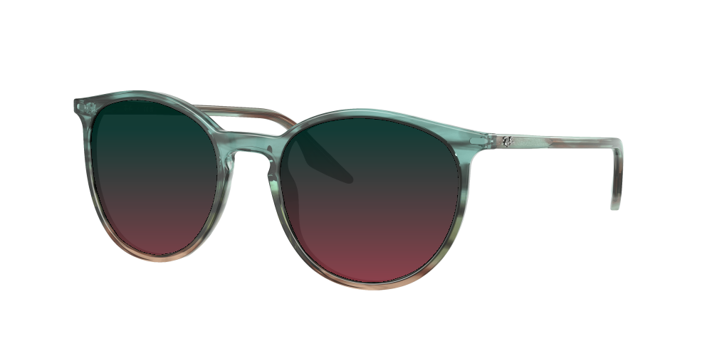 Ray Ban RB2204 1394GK Ray Ban RB2204 1394GK