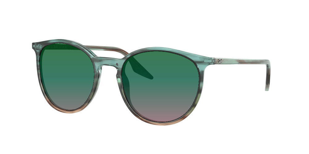 Ray Ban RB2204 1394GK Ray Ban RB2204 1394GK