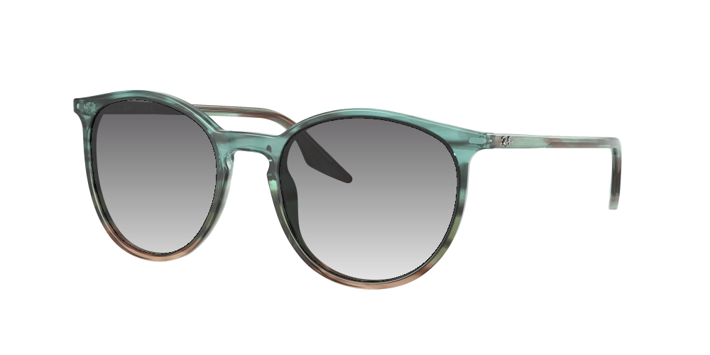Ray Ban RB2204 1394GK Ray Ban RB2204 1394GK