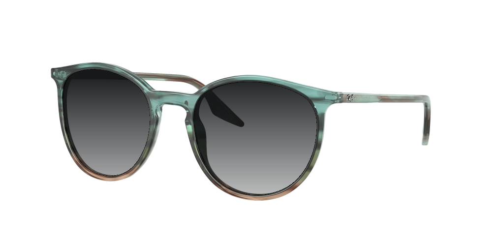 Ray Ban RB2204 1394GK Ray Ban RB2204 1394GK