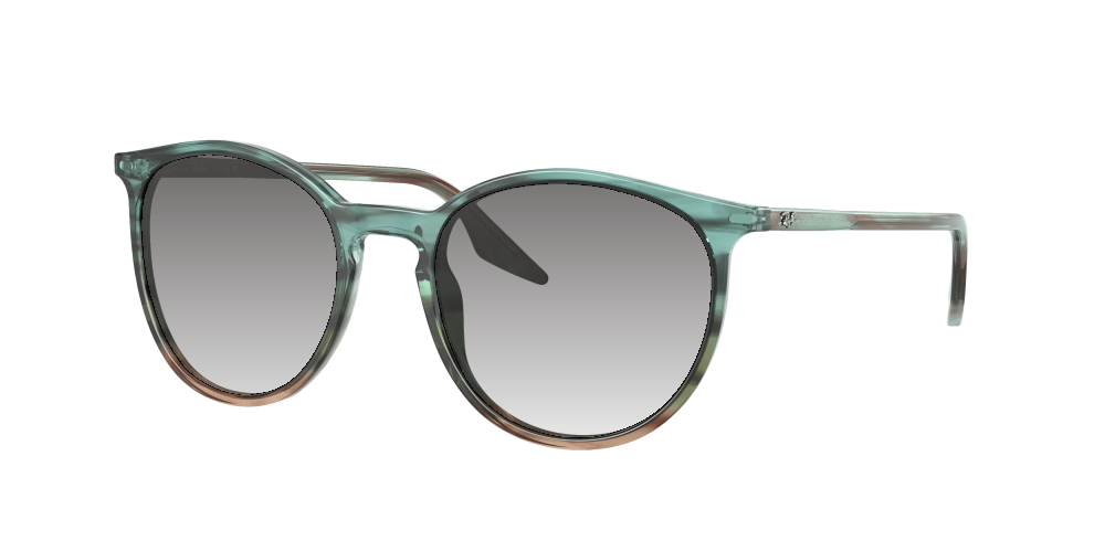 Ray Ban RB2204 1394GK Ray Ban RB2204 1394GK