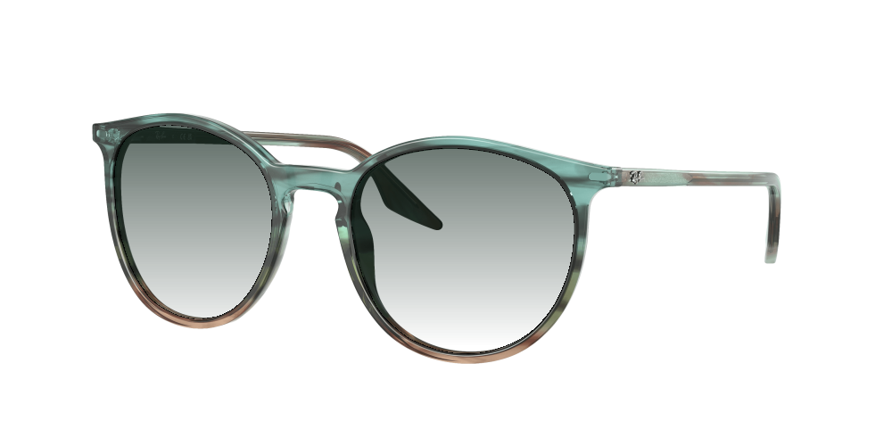 Ray Ban RB2204 1394GK Ray Ban RB2204 1394GK