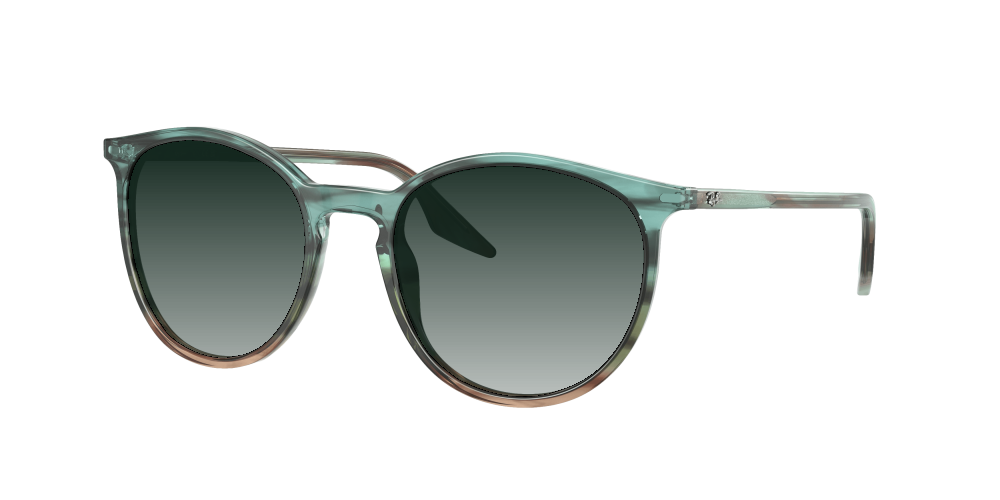 Ray Ban RB2204 1394GK Ray Ban RB2204 1394GK