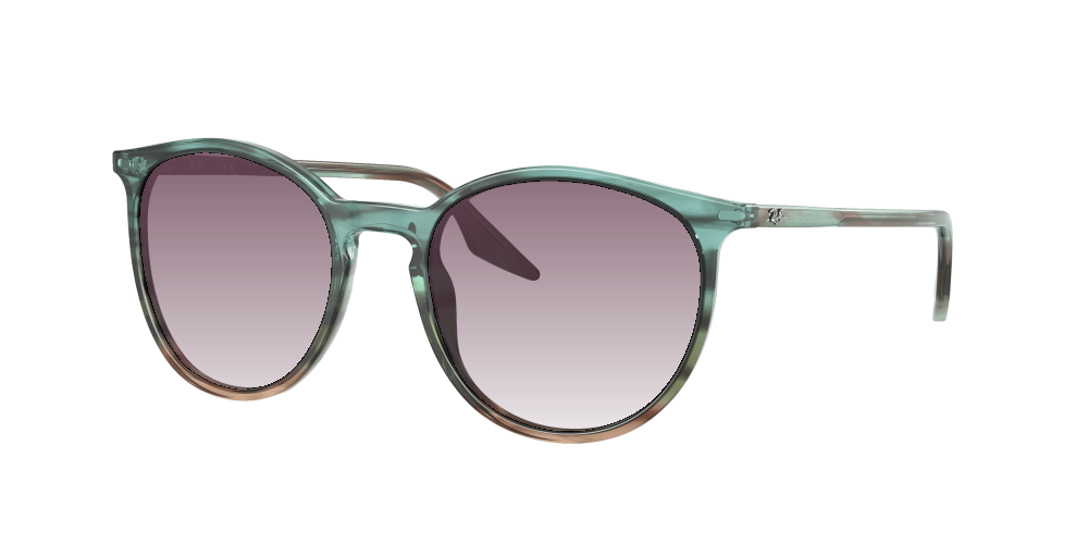 Ray Ban RB2204 1394GK Ray Ban RB2204 1394GK