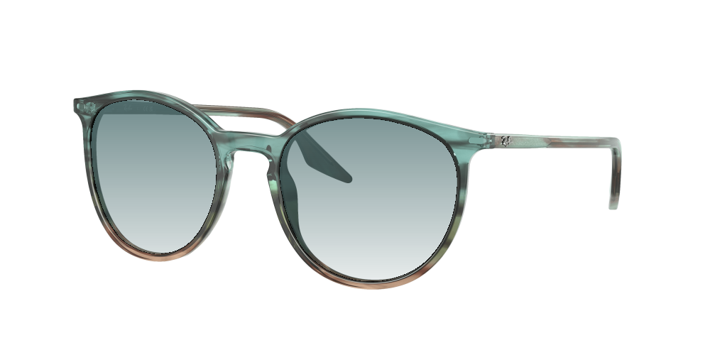 Ray Ban RB2204 1394GK Ray Ban RB2204 1394GK
