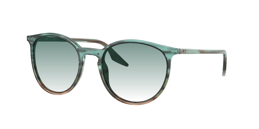 Ray Ban RB2204 1394GK Ray Ban RB2204 1394GK