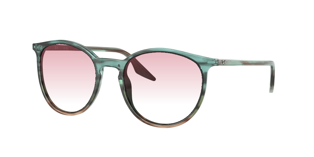 Ray Ban RB2204 1394GK Ray Ban RB2204 1394GK