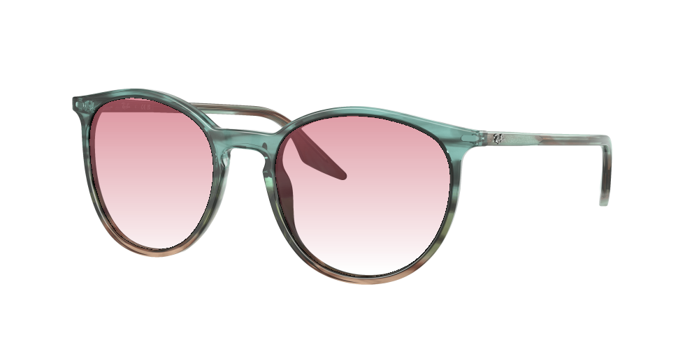 Ray Ban RB2204 1394GK Ray Ban RB2204 1394GK