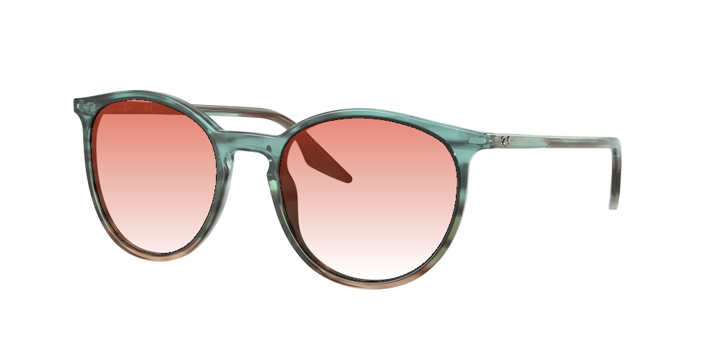 Ray Ban RB2204 1394GK Ray Ban RB2204 1394GK
