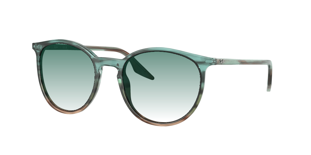 Ray Ban RB2204 1394GK Ray Ban RB2204 1394GK