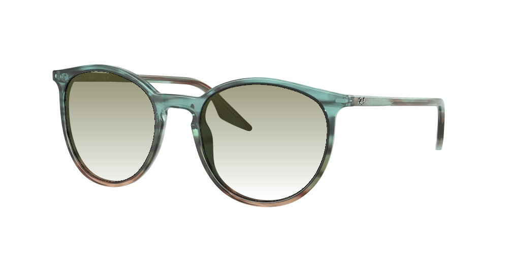 Ray Ban RB2204 1394GK Ray Ban RB2204 1394GK