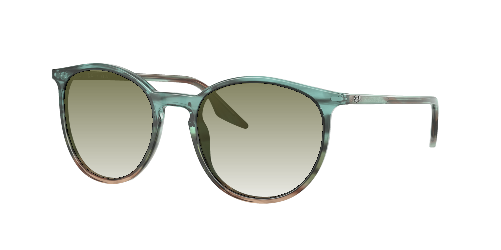 Ray Ban RB2204 1394GK Ray Ban RB2204 1394GK