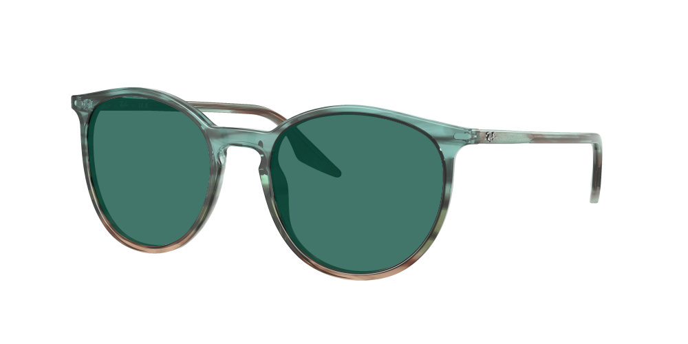 Ray Ban RB2204 1394GK Ray Ban RB2204 1394GK