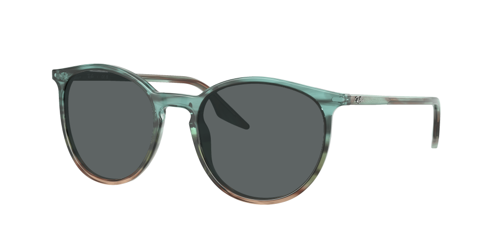 Ray Ban RB2204 1394GK Ray Ban RB2204 1394GK