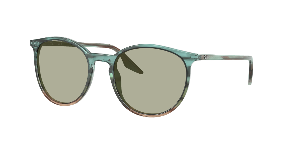 Ray Ban RB2204 1394GK Ray Ban RB2204 1394GK