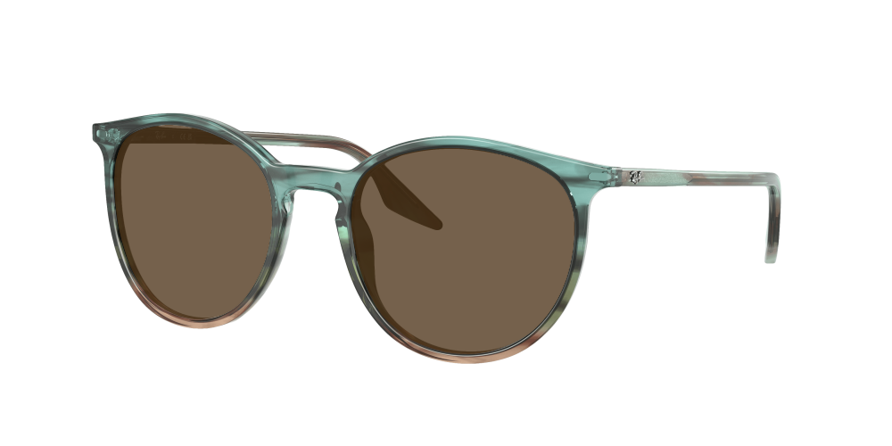 Ray Ban RB2204 1394GK Ray Ban RB2204 1394GK