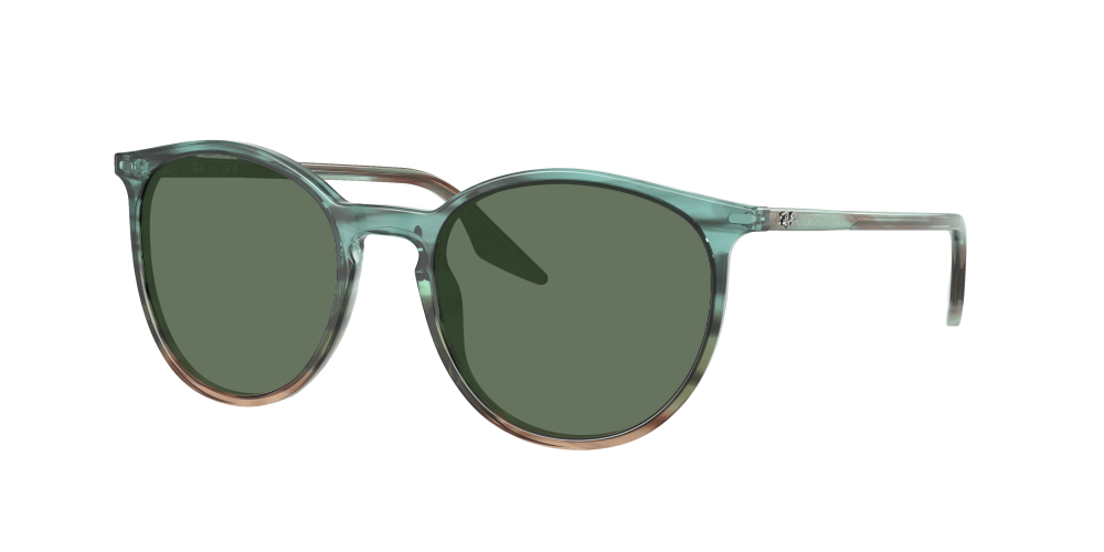 Ray Ban RB2204 1394GK Ray Ban RB2204 1394GK