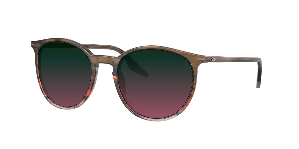 Ray Ban RB2204 13953B Ray Ban RB2204 13953B