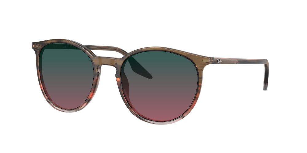 Ray Ban RB2204 13953B Ray Ban RB2204 13953B