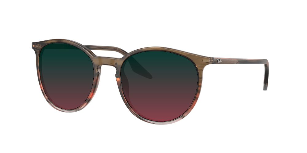 Ray Ban RB2204 13953B Ray Ban RB2204 13953B