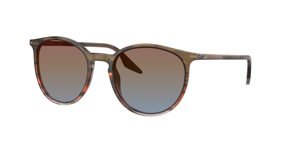Ray Ban RB2204 13953B Ray Ban RB2204 13953B