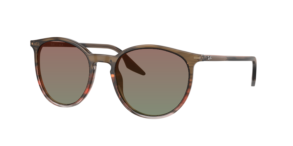 Ray Ban RB2204 13953B Ray Ban RB2204 13953B