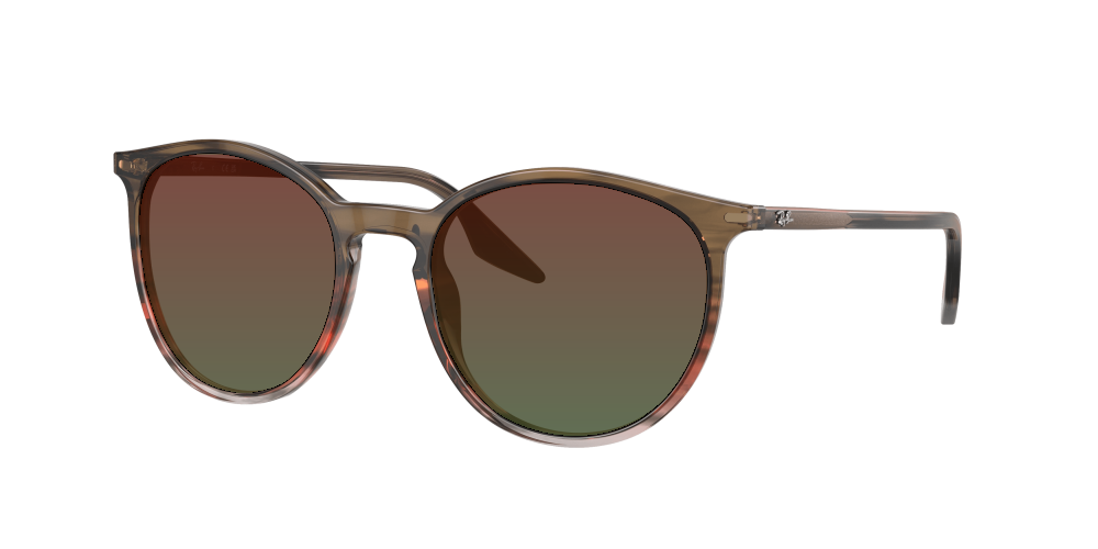 Ray Ban RB2204 13953B Ray Ban RB2204 13953B