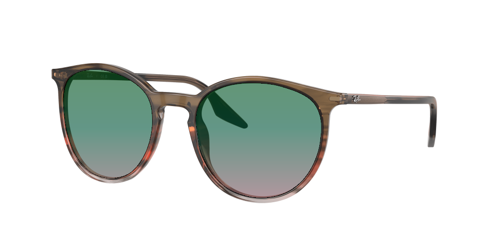 Ray Ban RB2204 13953B Ray Ban RB2204 13953B