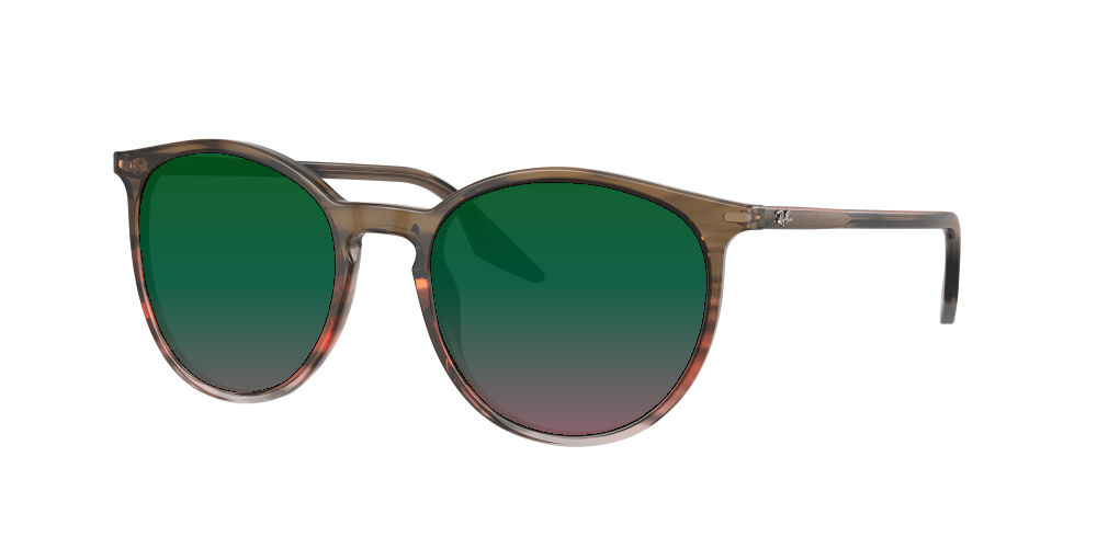 Ray Ban RB2204 13953B Ray Ban RB2204 13953B