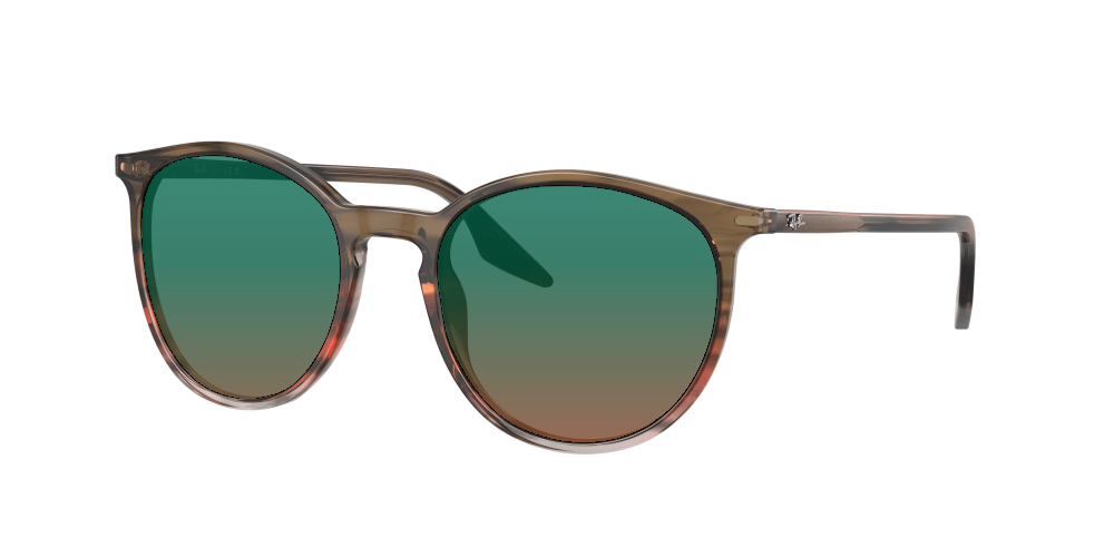 Ray Ban RB2204 13953B Ray Ban RB2204 13953B
