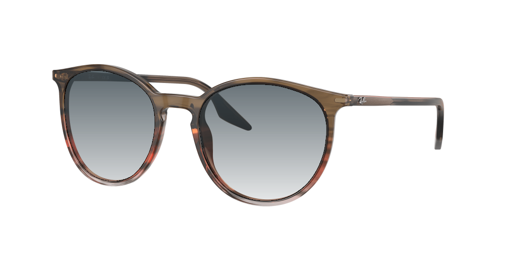 Ray Ban RB2204 13953B Ray Ban RB2204 13953B