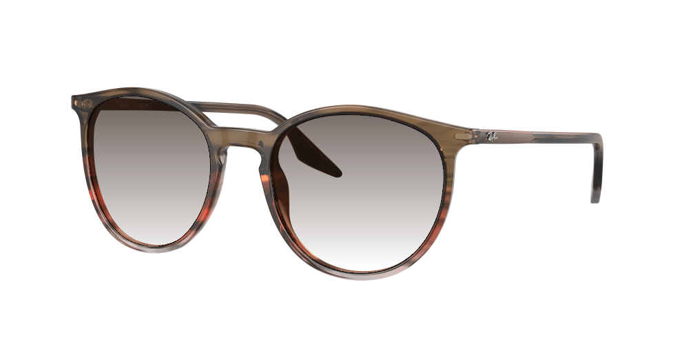 Ray Ban RB2204 13953B Ray Ban RB2204 13953B