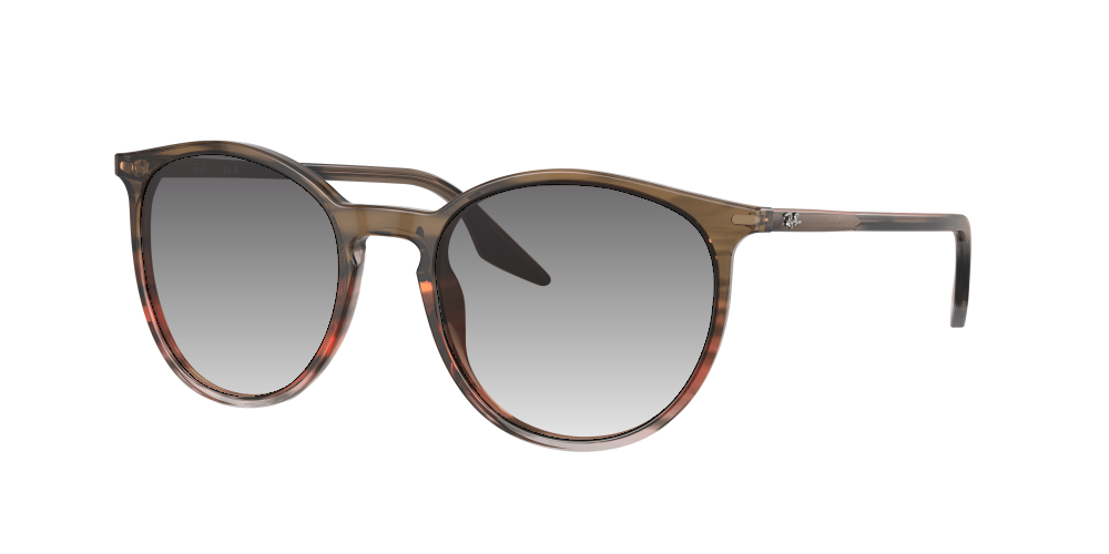 Ray Ban RB2204 13953B Ray Ban RB2204 13953B