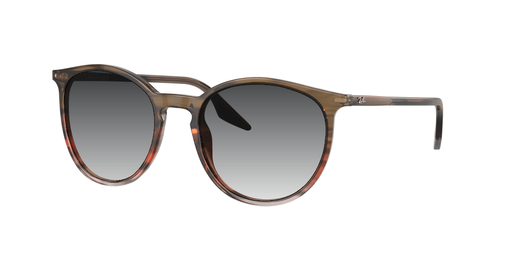 Ray Ban RB2204 13953B Ray Ban RB2204 13953B
