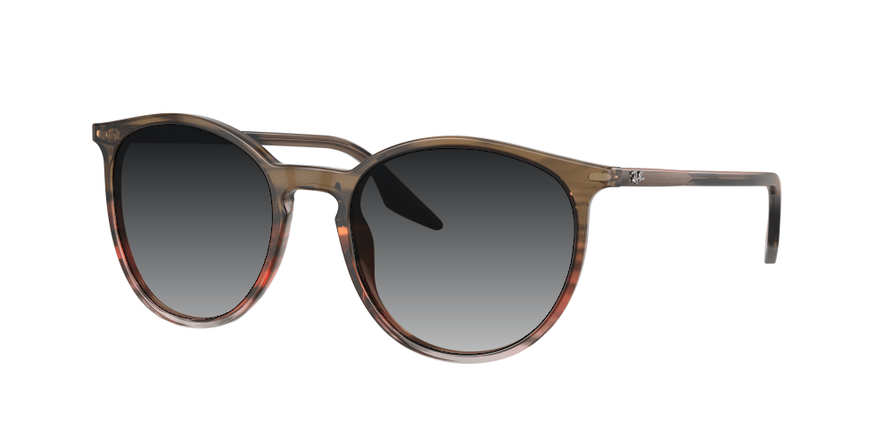 Ray Ban RB2204 13953B Ray Ban RB2204 13953B
